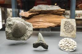 Bergbaumuseum Bochum 10.12.2015