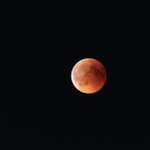 Blutmond2018_009