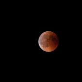 Blutmond2018_010