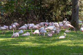 Burgers Zoo 02.09.2018