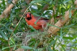 Burgers Zoo 02.09.2018