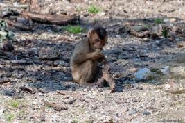 Burgers Zoo 02.09.2018