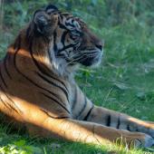 BurgersZoo2018_065