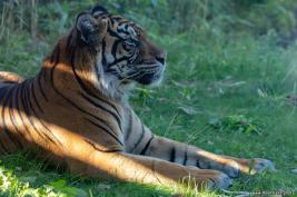 Burgers Zoo 02.09.2018