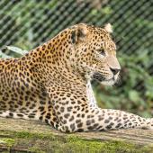 BurgersZoo_019