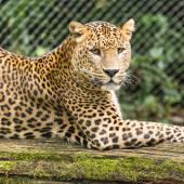 BurgersZoo_024