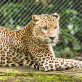 BurgersZoo_027