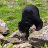 BurgersZoo_040