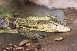 Burgers Zoo 27.07.2017