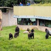 BurgersZoo_080