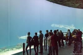 Burgers Zoo 27.07.2017