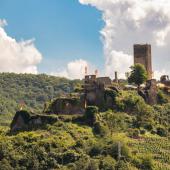 Cochem_Umgebung_010