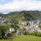 Cochem_Umgebung_028