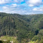 WildFreizeitpark_Klotten_003