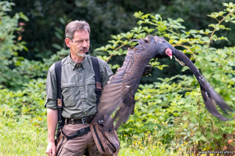 WildFreizeitpark_Klotten_010