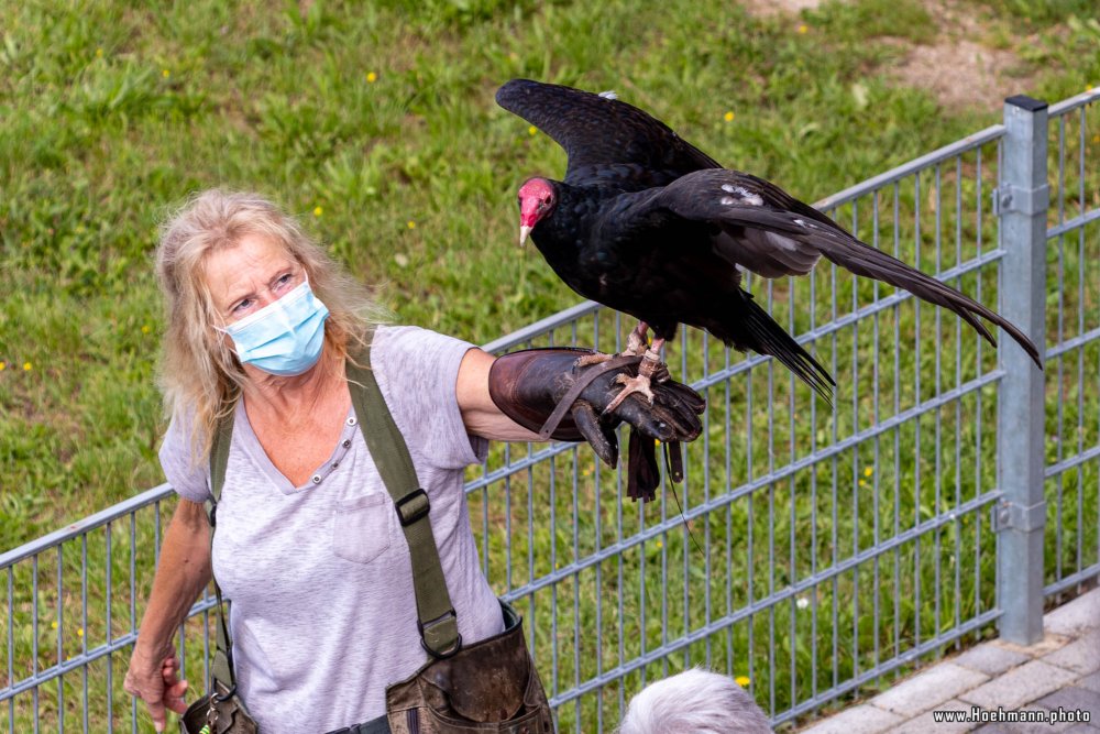 WildFreizeitpark_Klotten_012
