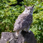 WildFreizeitpark_Klotten_015