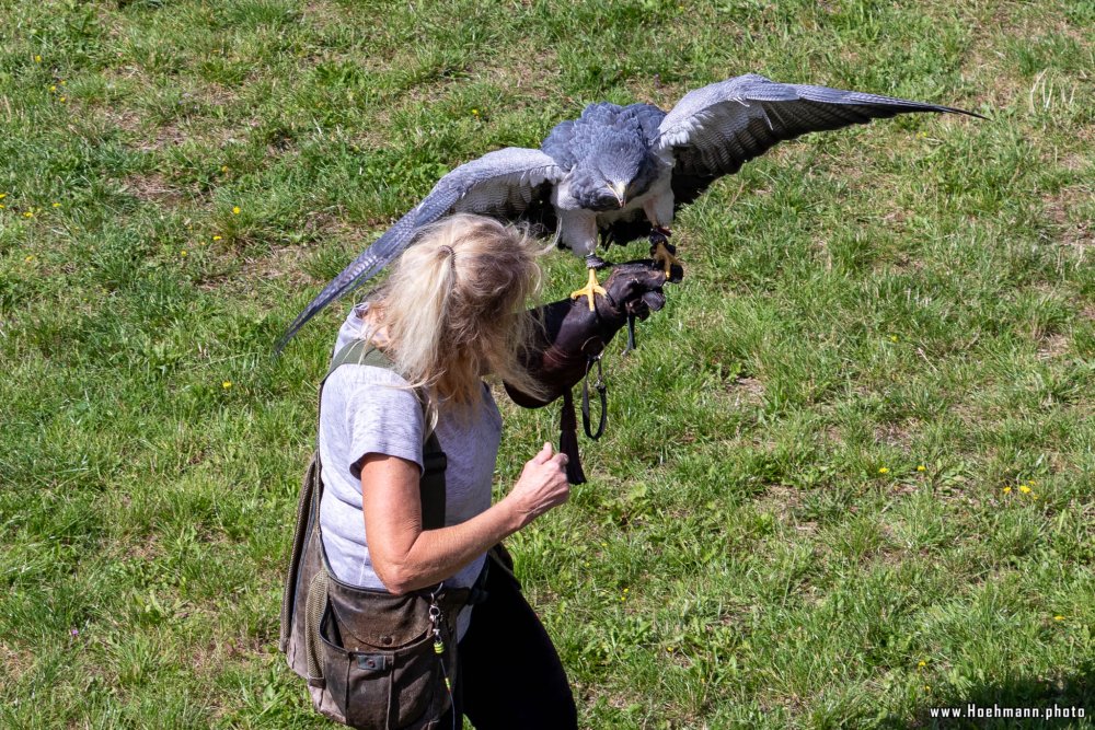 WildFreizeitpark_Klotten_018