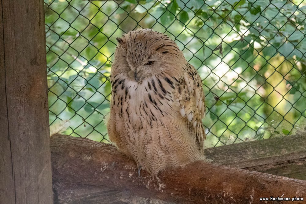 WildFreizeitpark_Klotten_019