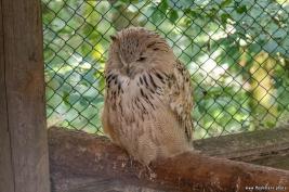 Wild- & Freizeitpark Klotten 25.07.2021