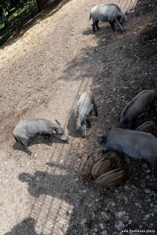 WildFreizeitpark_Klotten_020