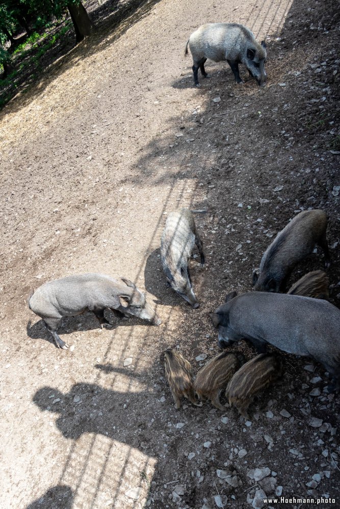 WildFreizeitpark_Klotten_021
