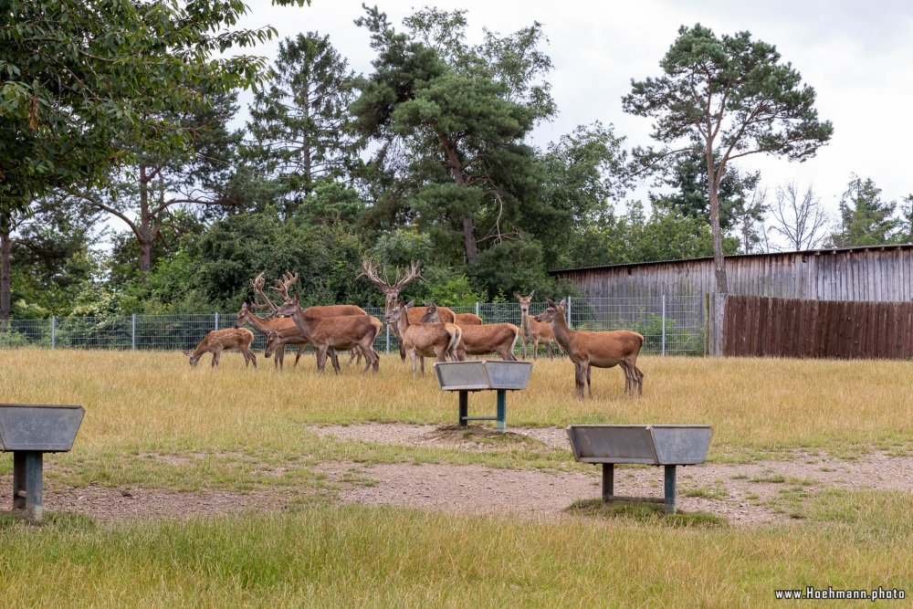 WildFreizeitpark_Klotten_027