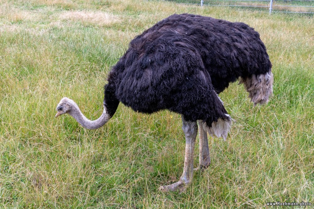 WildFreizeitpark_Klotten_030