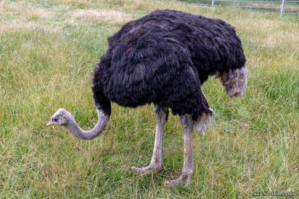 WildFreizeitpark_Klotten_031