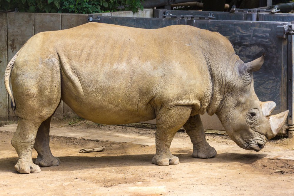 Dortmunder-Zoo_076