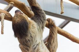 Dortmunder Zoo 28.06.2015