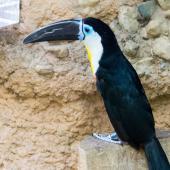 Duisburger-Zoo_076