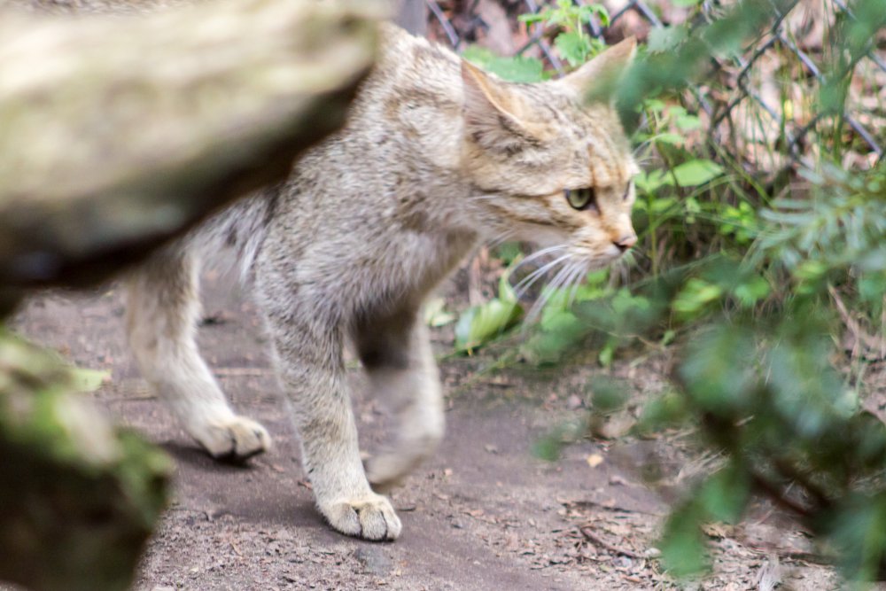 Duisburger-Zoo_366