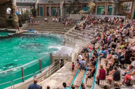 Duisburger Zoo Delfin-Abend 27.08.2016