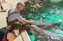 Duisburger Zoo Delfin-Abend 27.08.2016