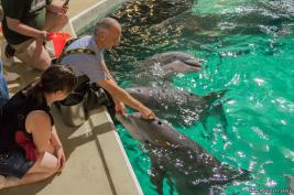 Duisburger Zoo Delfine 27.08.2016