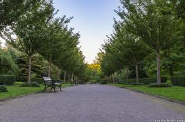 Fotosession Rombergpark 09.09.2015