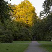 Rombergpark_003