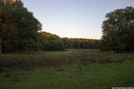 Fotosession Rombergpark 09.09.2015