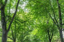 Fotosession Rombergpark 09.09.2015