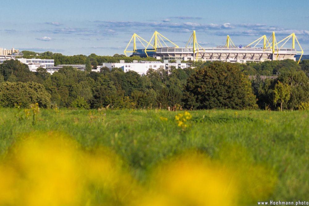 Westfalenstadion_011