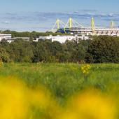 Westfalenstadion_011