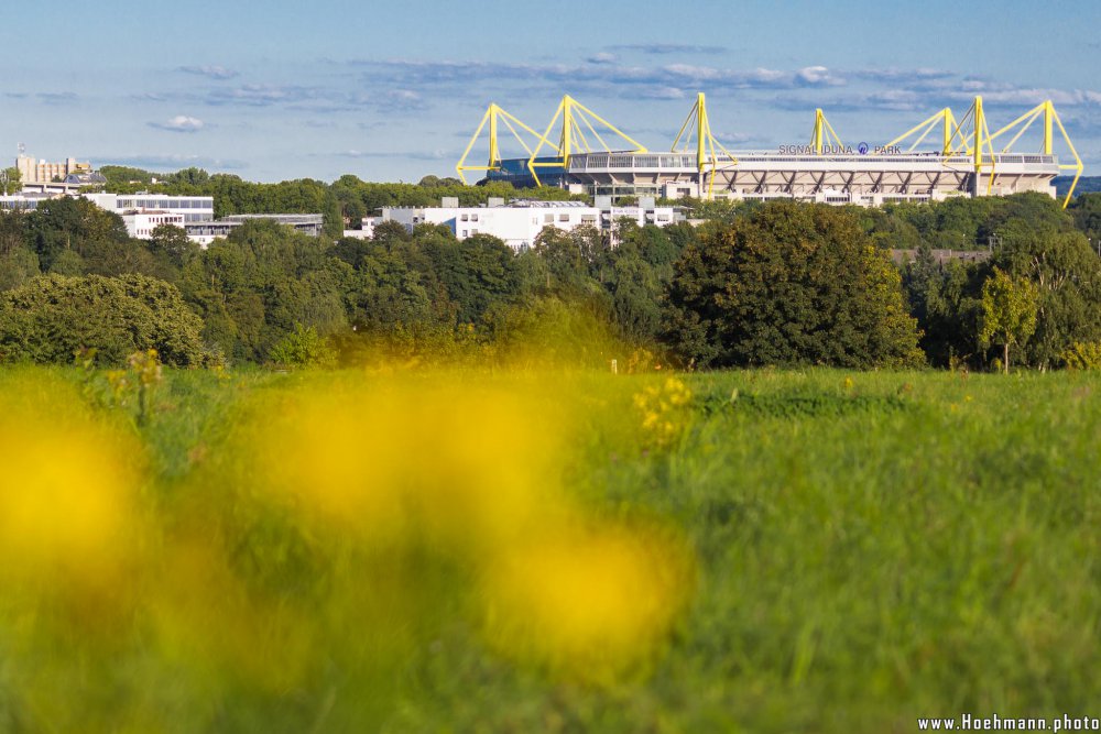 Westfalenstadion_012