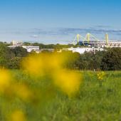 Westfalenstadion_014