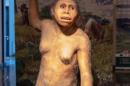 Georgian-National-Museum_18.05.2019