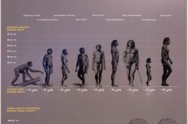 Georgian-National-Museum_18.05.2019