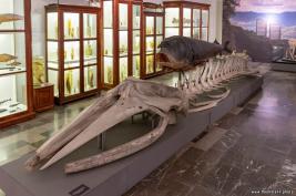 Georgian-National-Museum_18.05.2019