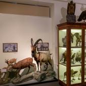 Georgia_NationalMuseum_031