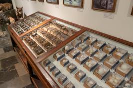 Georgian-National-Museum_18.05.2019