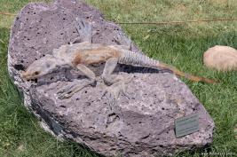 Uplisziche_16.06.2019